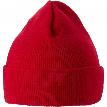 Logotrade promotional giveaway image of: Irwin beanie