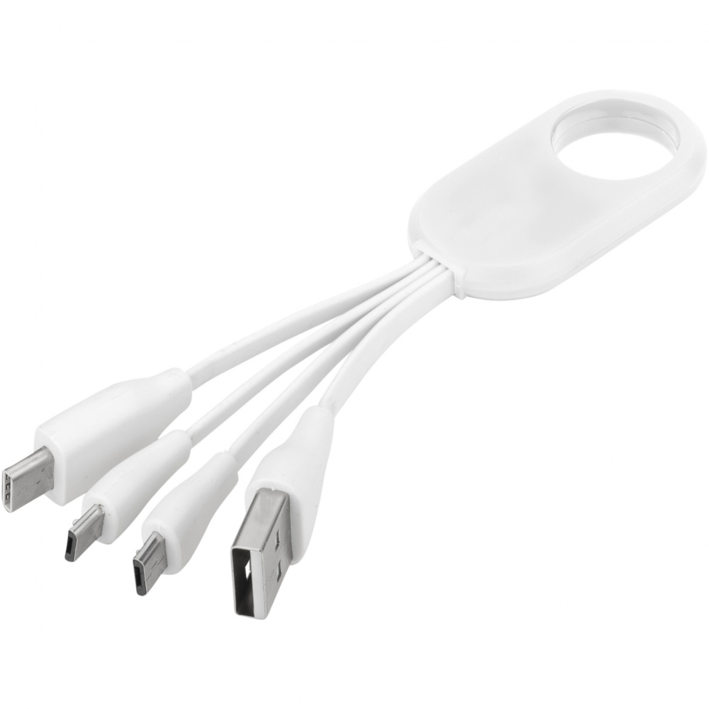 Logotrade promotional giveaway picture of: Troup 4-in-1 charging cable with type-C tip