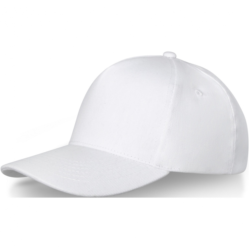 Logotrade promotional product image of: Doyle 5 panel cap