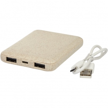 Logo trade corporate gifts image of: Asama 5000 mAh wheat straw power bank
