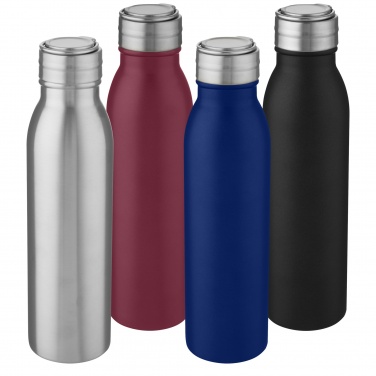 Logotrade promotional item picture of: Harper 700 ml stainless steel water bottle with metal loop
