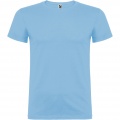 Beagle short sleeve kids t-shirt, Sky blue