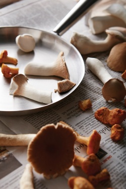 Logotrade promotional gift image of: VINGA Vici Outdoor Pan