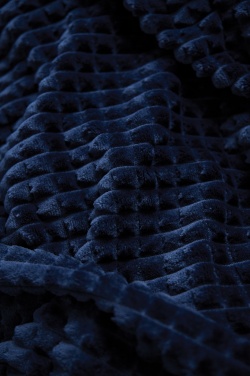 Logotrade corporate gift picture of: VINGA Branson GRS rpet blanket