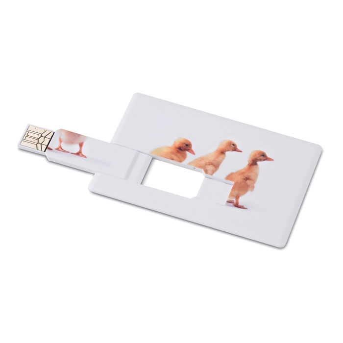 Logo trade promotional gifts picture of: Creditcard. USB flash 32GB