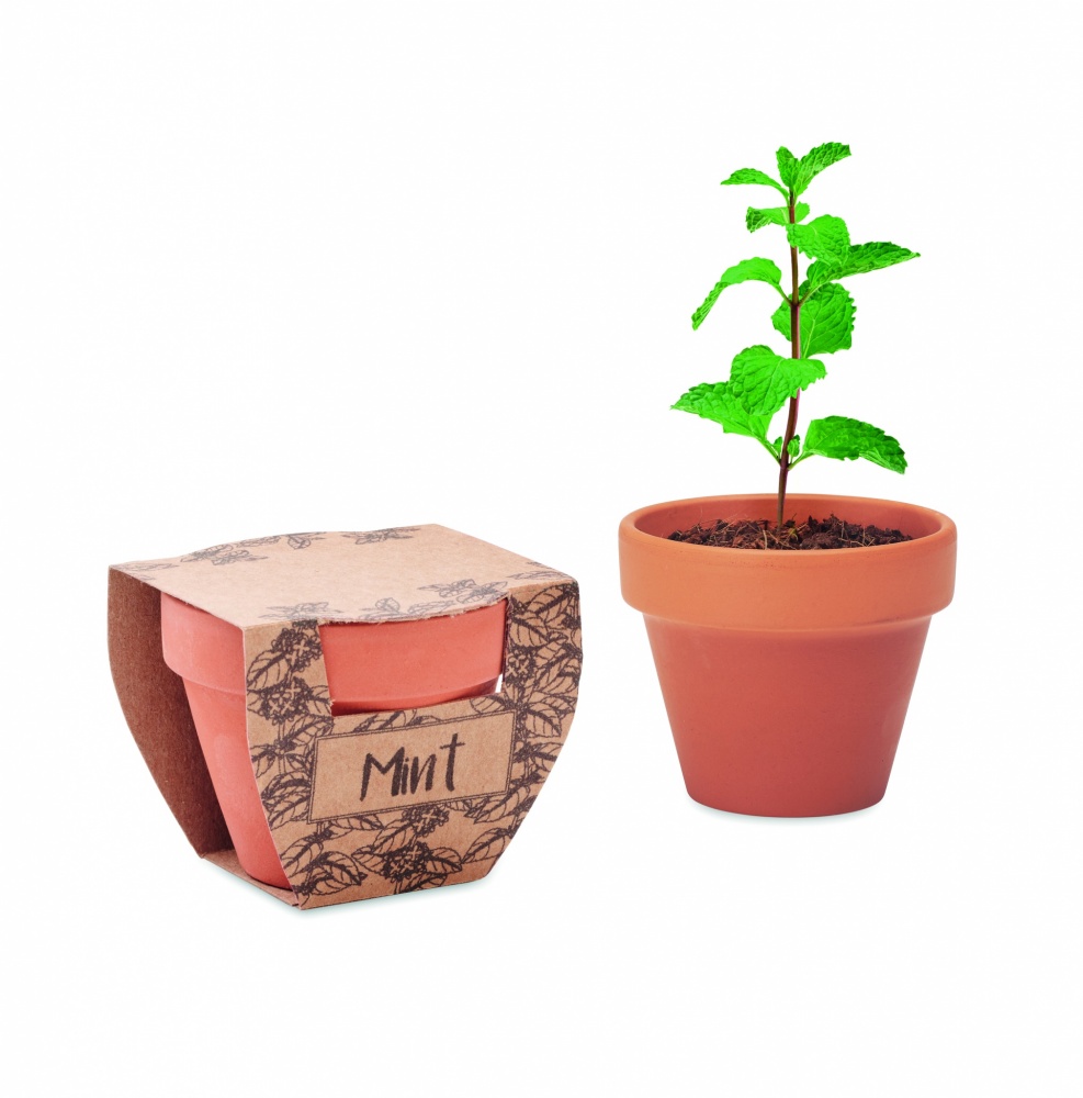 Logotrade promotional giveaways photo of: Terracotta pot mint seeds