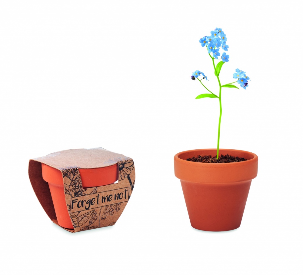 Logo trade promotional gifts picture of: Terracotta pot 'forget me not'