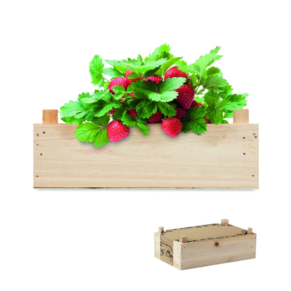 Logo trade promotional gifts picture of: Strawberry kit in wooden crate