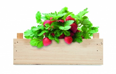 Logo trade promotional merchandise picture of: Strawberry kit in wooden crate