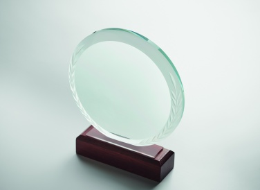 Logo trade promotional giveaway photo of: Round award plaque
