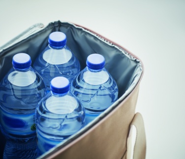 Logo trade promotional merchandise photo of: Large cooler bag canvas 450gr/m