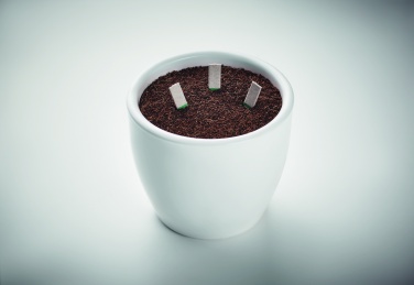 Logotrade promotional item image of: Herb seeds sticks