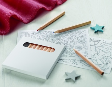 Logotrade promotional product image of: Drawing adult set