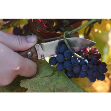 Logo trade promotional gifts image of: Pocket knife JUNGLE Schwarzwolf