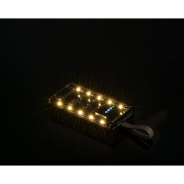 Logotrade advertising products photo of: Power bank 10 000 mAh DARWIN