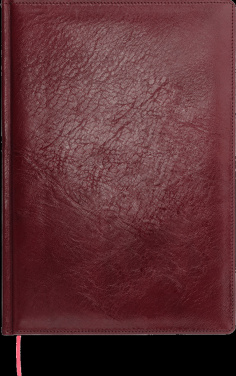 Logo trade promotional merchandise image of: Calendar 642131