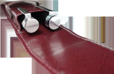 Logo trade promotional products image of: Pen case 236019