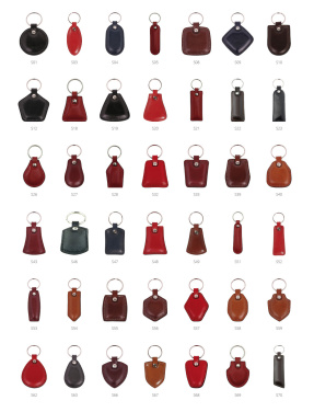 Logo trade promotional items image of: Keyring 178011