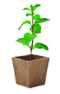 Logotrade corporate gift picture of: Mint seeds growing kit