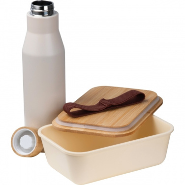Logo trade promotional items image of: Set Lunchbox with stainless steel bottle Toronto