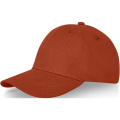 Davis 6 panel cap, Brick