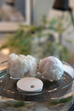 Logotrade promotional gift image of: Breevia RCS rplasic re-chargeable floating humidifier