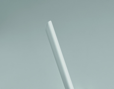 Logotrade corporate gift picture of: Long lasting inkless pen