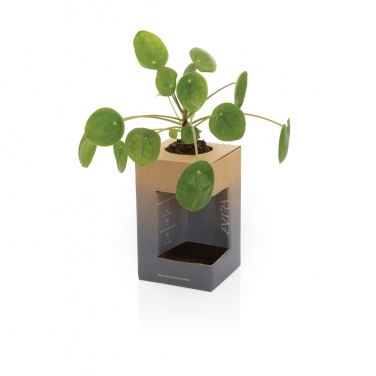 Logotrade meened pilt: Avira Alya RCS Re-steel termostops 300 ml