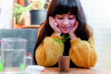 Logotrade liikelahja mainoslahja kuva: Kasvata kuusisetti