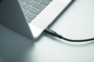 Logotrade verslo dovanos nuotrauka: 100 W C tipo įkrovimo laidas